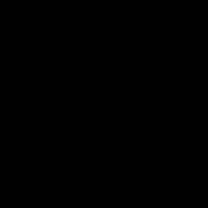 Meet your Posher, Madeline